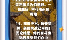 九游娱乐游戏九游娱乐官方平台-热血沸腾的角逐，体育梦想再铸辉煌