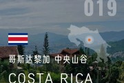九游娱乐网址-哥斯达黎加联赛赛况一览，夏日联赛吸引观众心灵